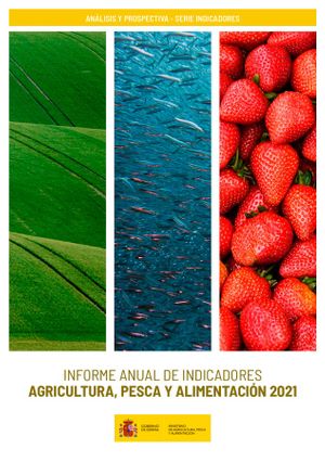 Informe anual de indicadores 2021